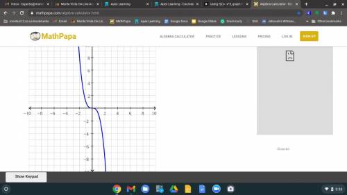 Using f(x)= -x^3, graph f|x| below