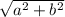\sqrt{a^2 +b^2}