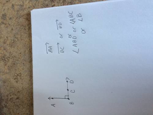Draw and label a figure that has four points two rays and one right angle
