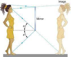 An extraterrestrial creature is standing in front of plane mirror. The height of this creature is H