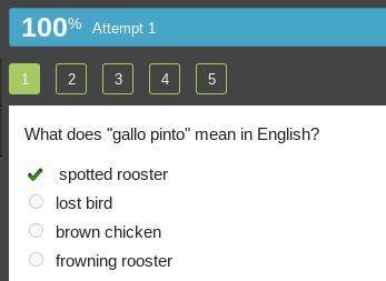 What does gallo pinto mean in English?

spotted rooster
lost bird
brown chicken
frowning rooster
