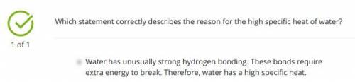 Which statement correctly describes the reason for the high specific heat of water?

A.) Water has u