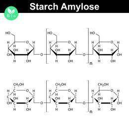 To produce starch, glucose molecules bond together through

A. Cellular respiration
B. dehydration s
