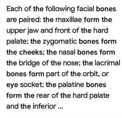 Your  bone forms your cheeks and eyes.
