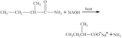 2-methyl-butanamide hydrolysis with NaOH