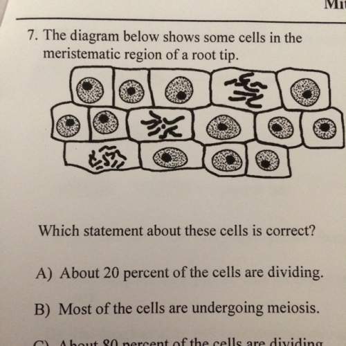 Which statement about these cells is correct