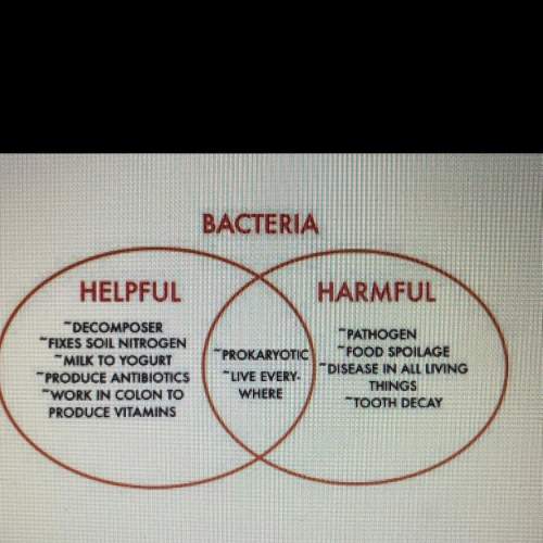 The venn diagram details some of the and harmful effects of bacteria. in what ways are viruses like