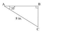 The figure below shows a triangular piece of cloth  -- what is the length of the p