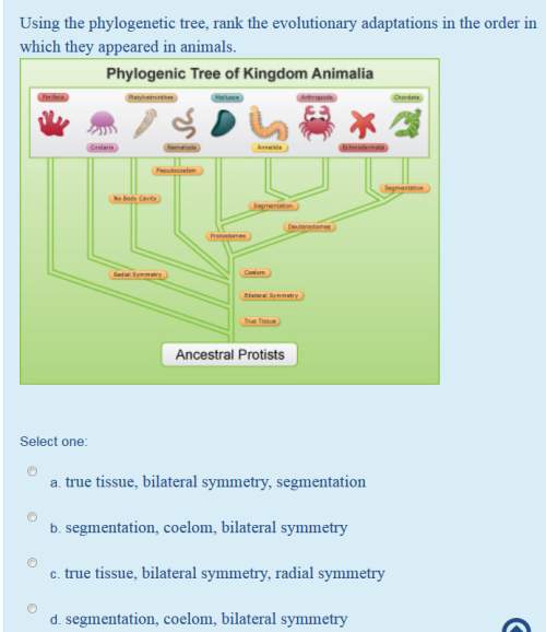 Using the phylogenetic tree, rank the evolutionary adaptations in the order in which they appeared i