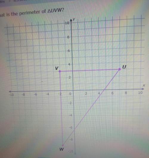 What is the perimeter of triangle uvw