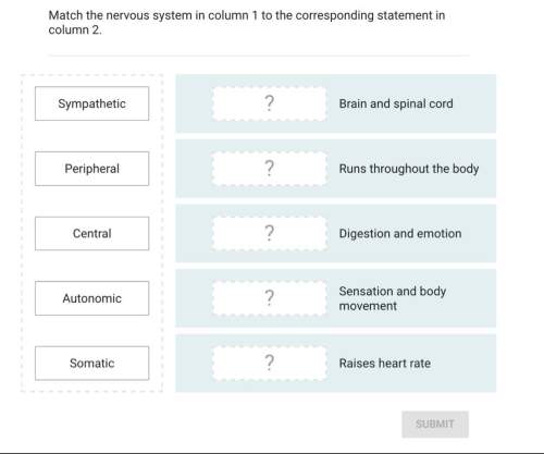 Match the nervous system in column 1 to the corresponding statement in column 2
