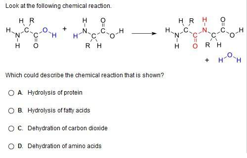 Look at the following chemical reaction. (picture below)  which could describe the