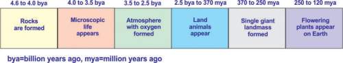 The diagram below shows a portion of the geologic time scale. based on the time sc