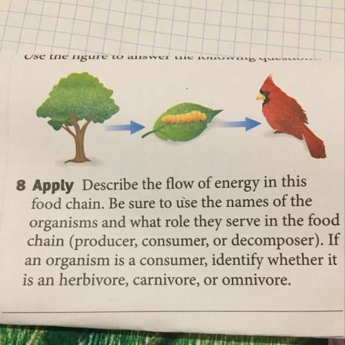 What is the role and the names of the organisms and if the organism is a consumer and is whether it