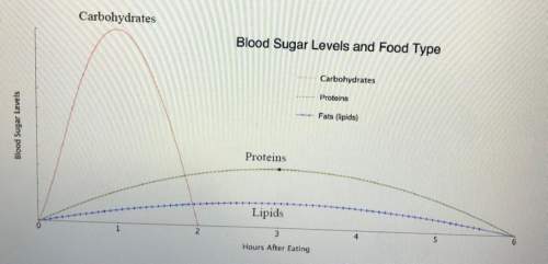 Ineed  looking at the blood sugar levels and food type graph, answer the following