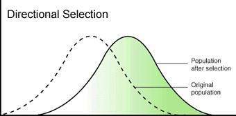 Iwill give brainlest to whoever answers ! the graph below is of directional selection. which s