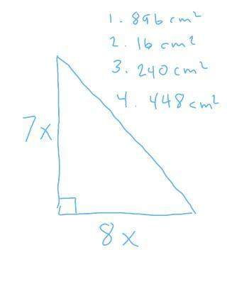 If x=4 cm find the area of this triangle