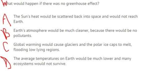 What would happen if there was no greenhouse effect?