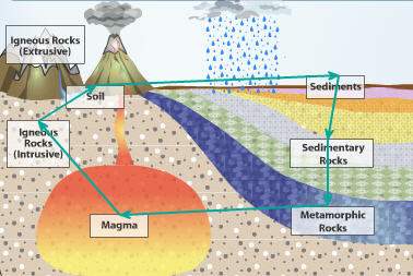 The following picture shows the cycle for the production of  a. soil
