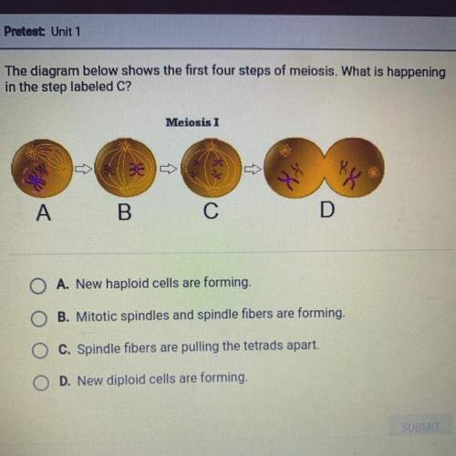 The diagram below shows the first four steps of meiosis. what is happening in the step labeled