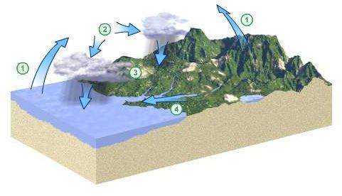 At which step of the water cycle does water change from one state to another within the atmosphere?&lt;