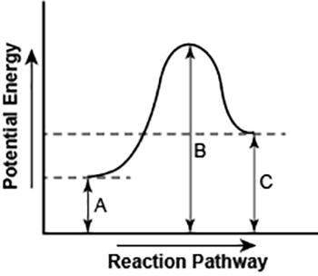 Question: the diagram shows the potential energy changes for a reaction pathway.