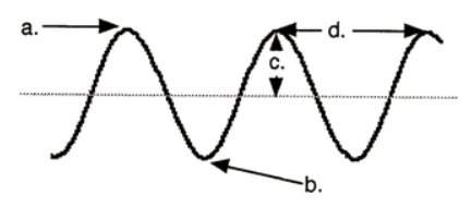What part of the wave does "d" represent?  a. wave length b.the amplitude c.