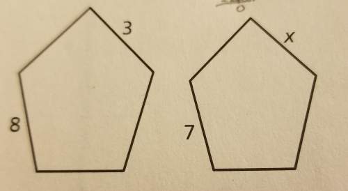 The polygons are similar find the value of x
