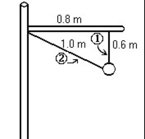 As shown in the diagram, a vertical pole and horizontal arm move in uniform circular motion about th