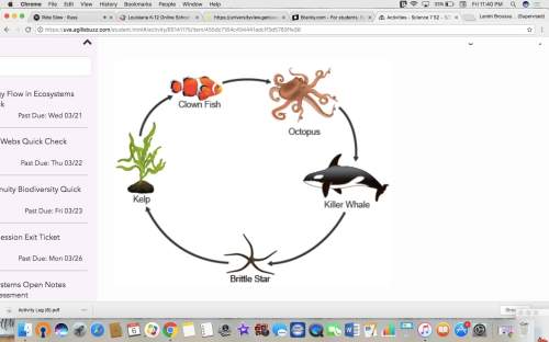 An ocean food chain is shown. which organism is a tertiary consumer?  a.clownfish&lt;
