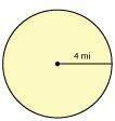 Find the circumference for the circle. use 3.14 for pi