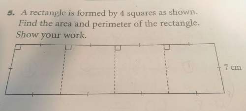 What is the area of this rectangle and perimeter.