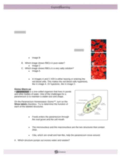 Hurry 20 points will mark brainilest the image on the left shows a normal red blood cell, and