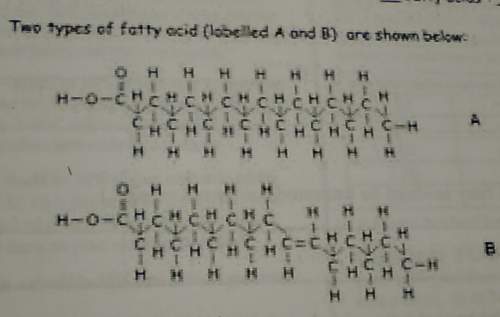What types of fatty acids are shown here?
