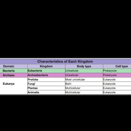 Based on the table, which kingdom includes an equal number of organisms with each body type?