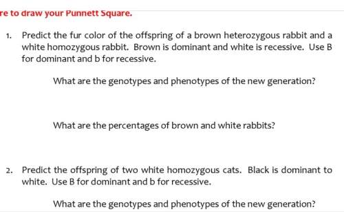 I'm so confused on how to do punnet squares. ?