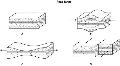 What caused the rock layers to take on the shape shown in diagram c?