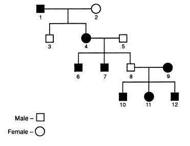 How many generations are shown in the pedigree in figure 14–5? a. 8 b