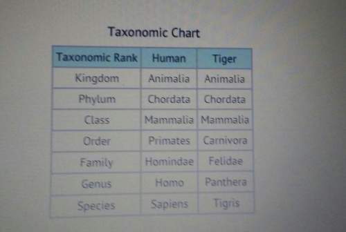 What is the most specific classification that humans and tigers have in common? a) class b) kingdom