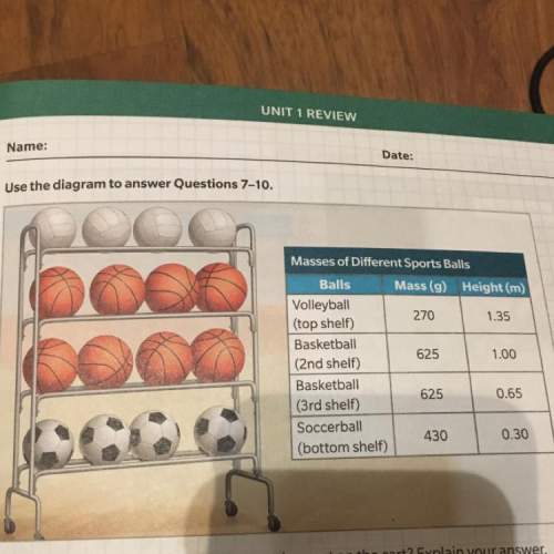 Which basketballs have the most potential energy, those on the second shelf or those on the third sh