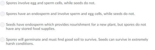 How are seeds different from spores?