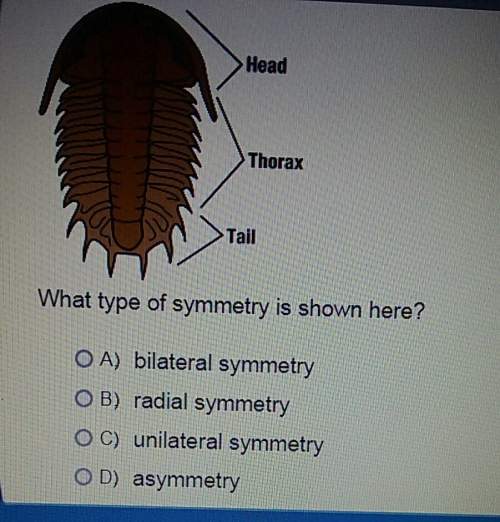 What type of symmetry is shown here?