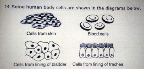 These group of cells represent different a. organelles that carry out different function