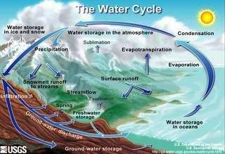 Need will give brainliest and 5  review the water cycle diagram below. the mountains d