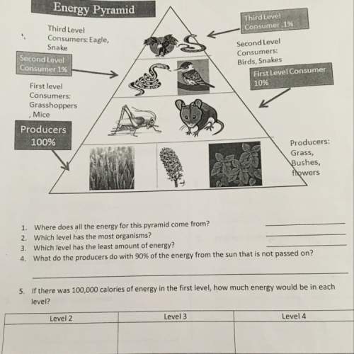 Question #1:  where does all the energy for this pyramid come from?  question #2: