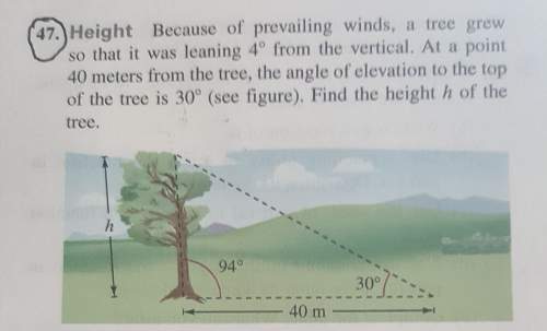 Because of prevailing winds, a tree grew so that it was leaning 4 degrees from vertical. at a point
