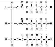 C, h, o - elements that are common to biomolecules. if the biomolecule in question is a protein thes