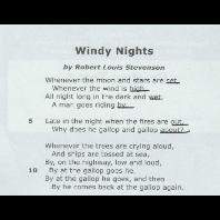 Which word describes the mood of the poem? windy nightscalmeager