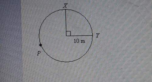Find the length od ypx. leave your answer in terms of pi