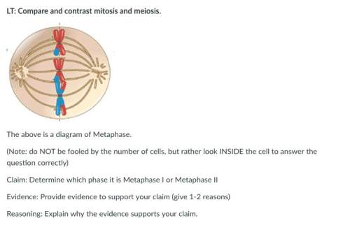 Lt: compare and contrast mitosis and meiosis.